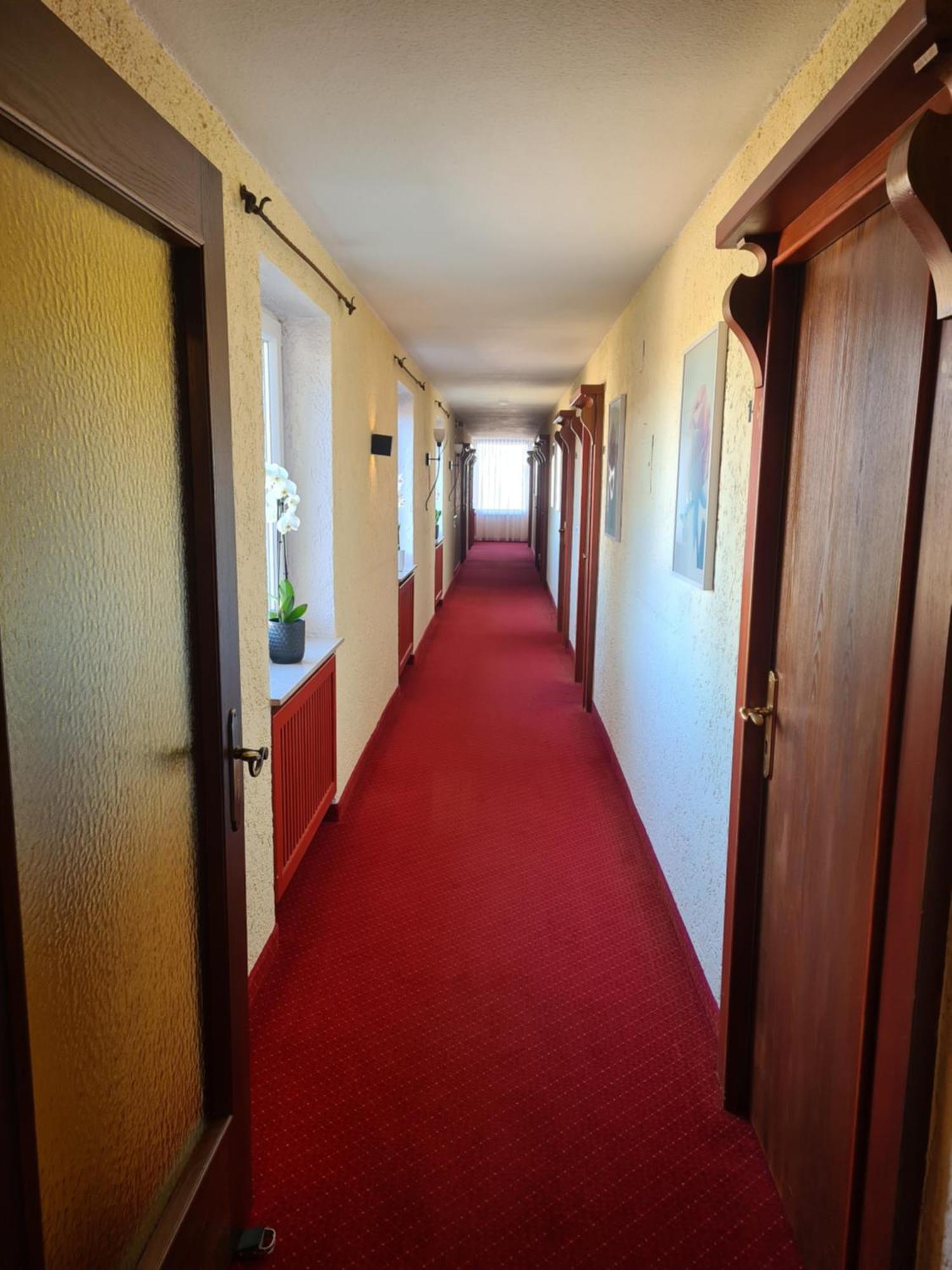 Hotel Birkenmoor Scheidegg Exteriör bild